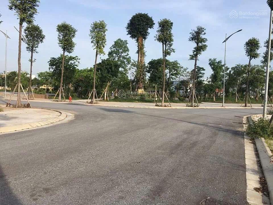 Forestia park phố nối. đăng ký sớm nhận suất đẹp và vị trí ưu tiên