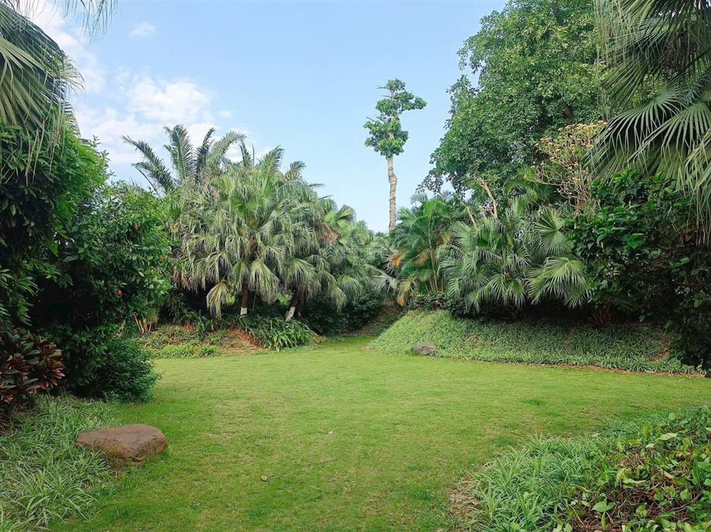 Forestia park phố nối. đăng ký sớm nhận suất đẹp và vị trí ưu tiên