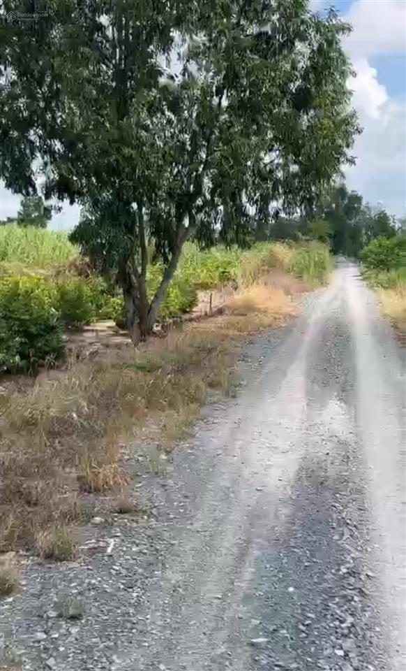 Bán trang trại, khu nghỉ dưỡng tại đường kênh 4, bình chánh, hồ chí minh, 80 tỷ, 14000 m2 giá siêu