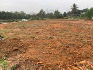 Bán đất tại phường đắc sơn, 600 triệu, 150 m2, chính chủ hàng hiếm