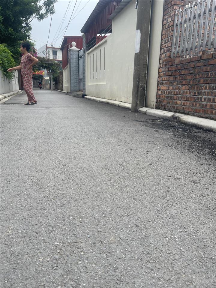 Chính chủ bán  siêu phẩm đất cực đẹp, giá siêu hợp lý, vị trí tiền phong  mê linh hà nội
