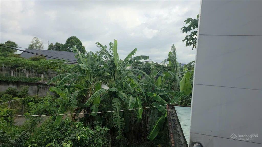 Bán nhà vườn hoà long bà rịa giá đầu tư chỉ 16 tỷ thương lượng, xem ngay