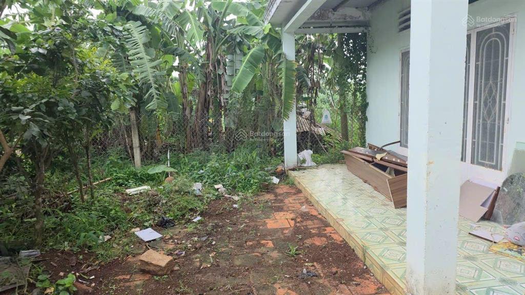 Bán nhà vườn hoà long bà rịa giá đầu tư chỉ 16 tỷ thương lượng, xem ngay