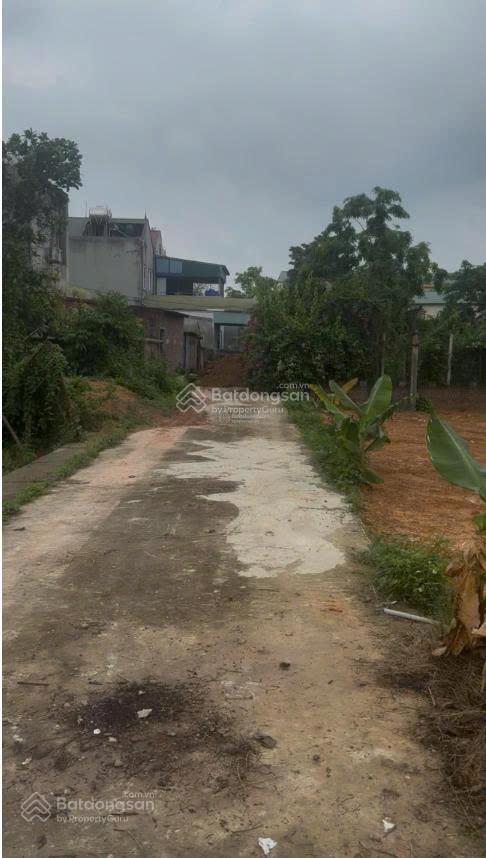 Bán đất hot nhất lại khu vực sóc sơn, hà nội