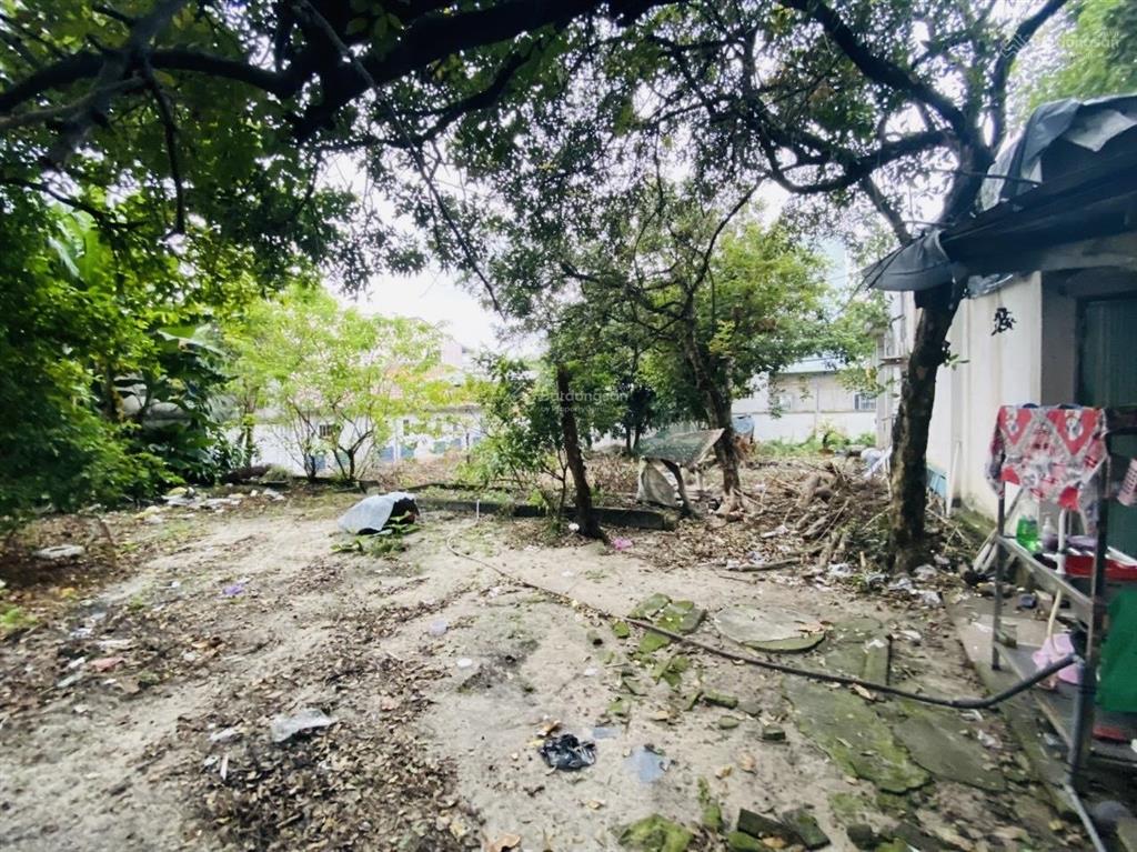 Bán gấp lô đất lớn ngay chợ thủ đức 1165m2  hẻm xe hơi  vài bước ra mặt tiền  full thổ cư