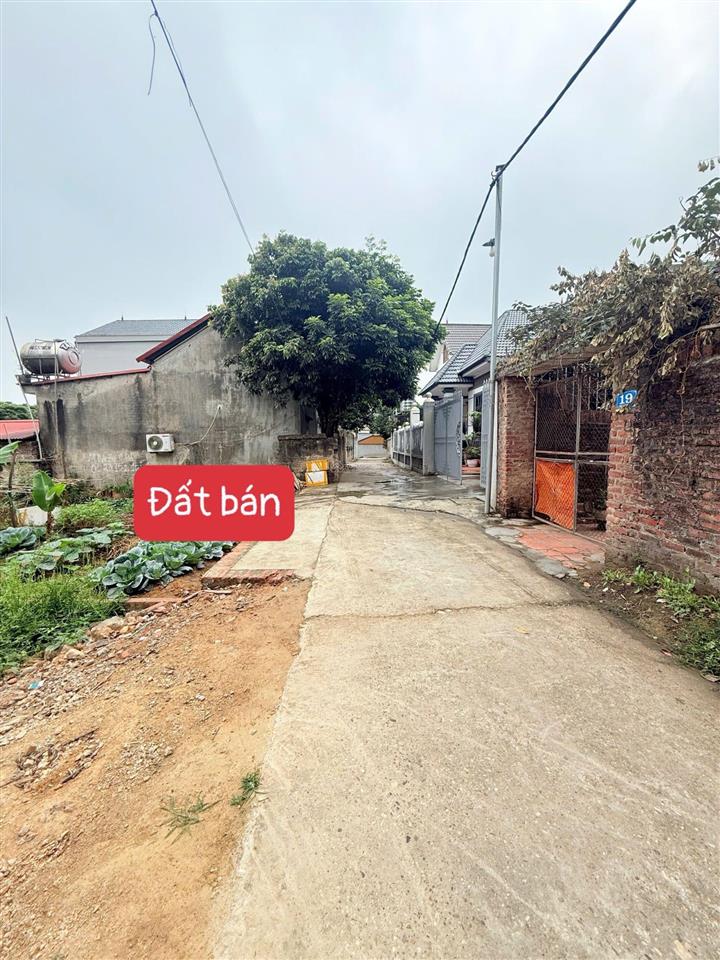 Bán đất thôn năm cương xã nôi bài