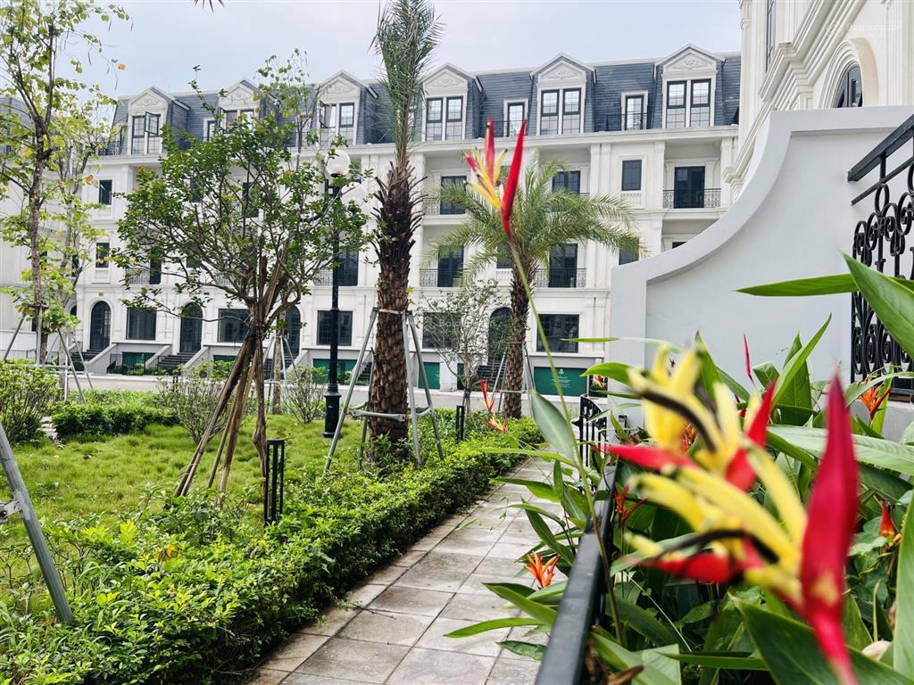 Duy nhất căn liền kề hướng nam bán giá nhỉnh 30 tỷ
