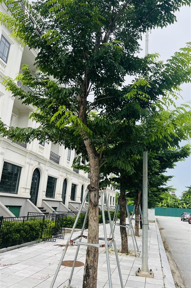 Bán gấp liền kề jade square giá bao toàn bộ dự án. giá chỉ 3x tỷ. không tiếp mg