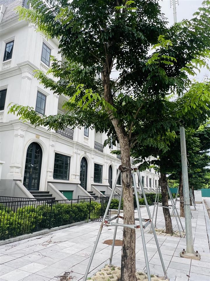 Bán gấp liền kề jade square giá bao toàn bộ dự án. giá chỉ 3x tỷ. không tiếp mg