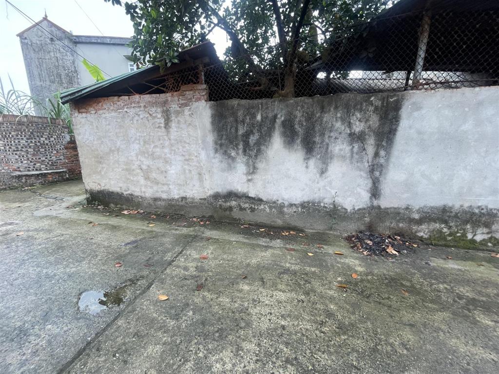 Chỉ 1,7 tỷ  lô góc 100 m nhà dân cắt  xuân đồng  sóc sơn ô tô ngủ trong đất