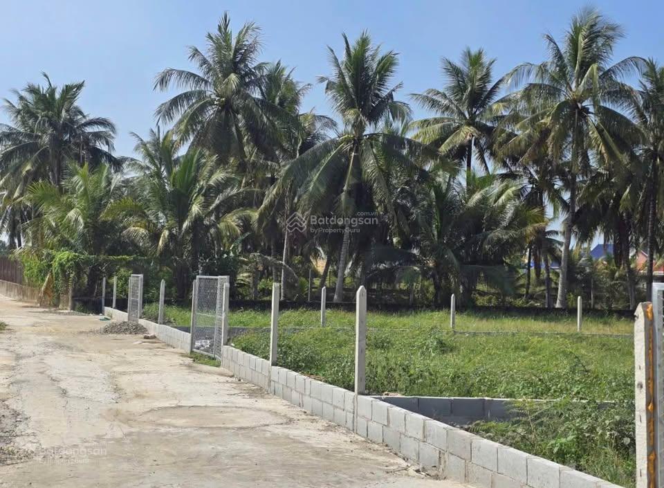 Siêu phẩm đất vườn 1000m2 giá rẻ ngay chợ gò dầu  tây ninh