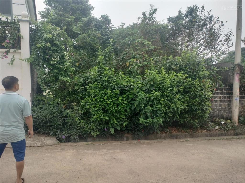 Bán nhanh lô đất 2 mặt tiền 278m2 giá chỉ 2.5 tỷ tại trung tâm chợ kim long phú thọ