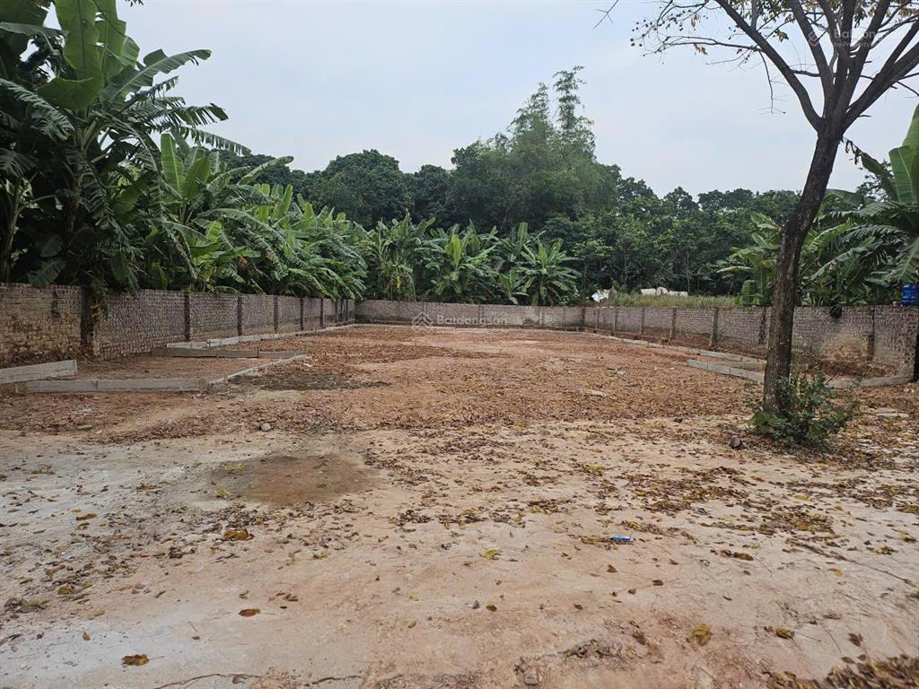 Chính chủ cho thuê mặt bằng nhà xưởng dt 570m² tại hợp châu  đồng tĩnh, tam dương, vĩnh phúc