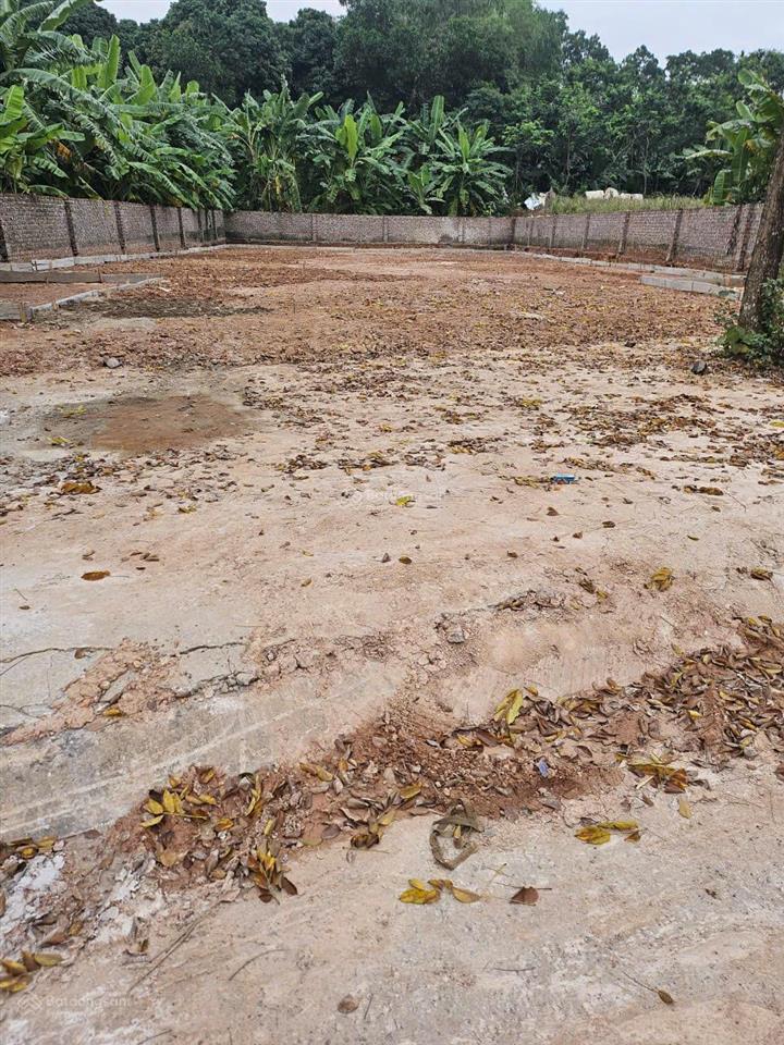 Chính chủ cho thuê mặt bằng nhà xưởng dt 570m² tại hợp châu  đồng tĩnh, tam dương, vĩnh phúc
