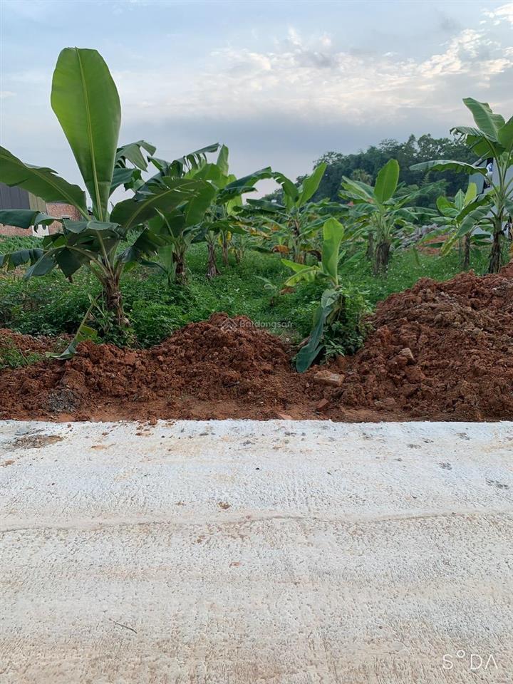 Chính chủ cần bán lô đất 328m2 giá 2,7 tỷ tại trung tâm xã thanh đình, việt trì, phú thọ