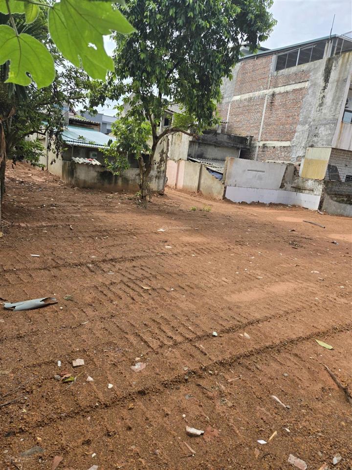 Chính chủ gửi bán đất 289.5m2 phong châu, phù ninh, phú thọ, sổ đỏ chính chủ giá rẻ