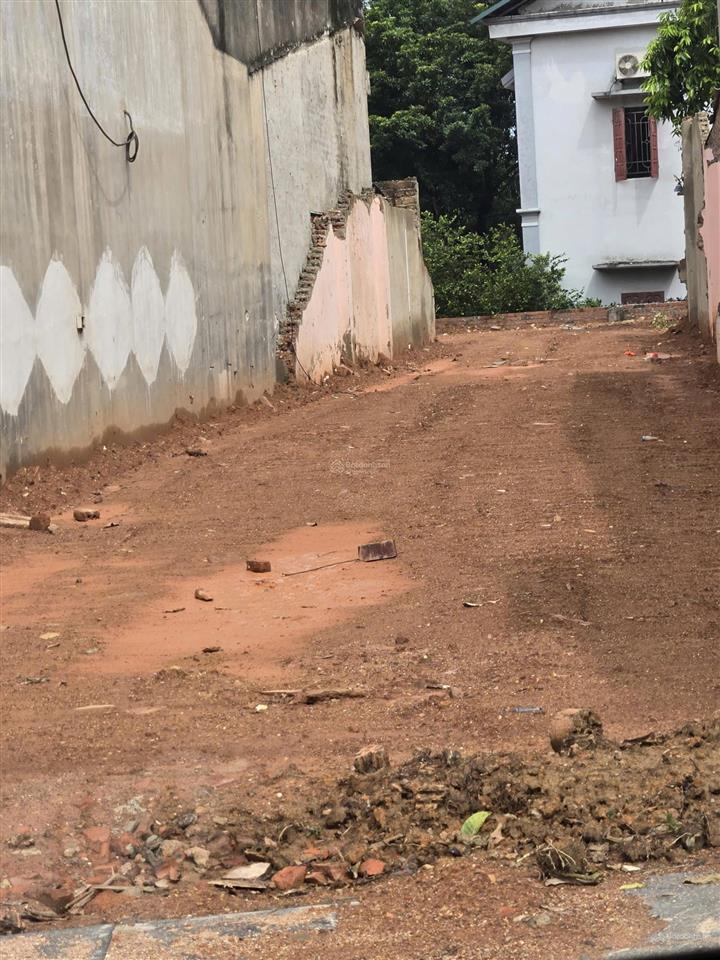 Chính chủ gửi bán đất 169,9m2 phong châu, phù ninh, phú thọ có 50m2 đất ở đô thị, sổ đỏ lâu dài