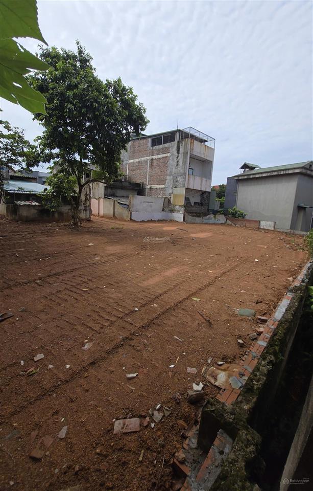 Chính chủ gửi bán đất 169,9m2 phong châu, phù ninh, phú thọ có 50m2 đất ở đô thị, sổ đỏ lâu dài