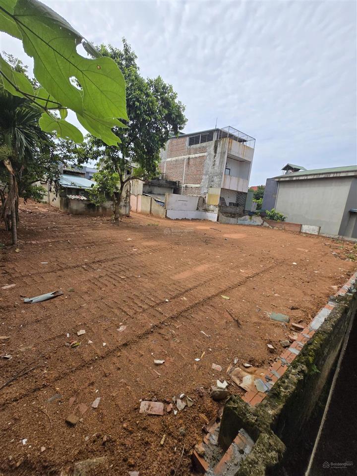 Chính chủ gửi bán đất 169,9m2 phong châu, phù ninh, phú thọ có 50m2 đất ở đô thị, sổ đỏ lâu dài