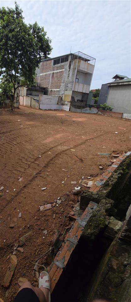Chính chủ gửi bán đất 169,9m2 phong châu, phù ninh, phú thọ có 50m2 đất ở đô thị, sổ đỏ lâu dài
