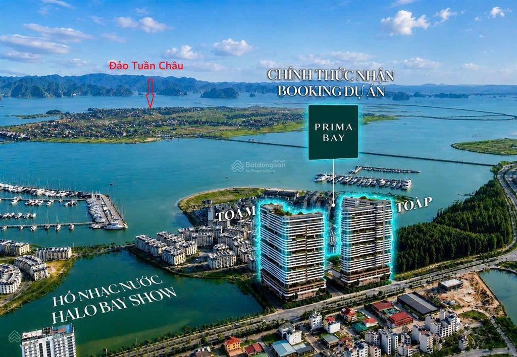 Bán căn 1pn 33m prima bay hạ long chỉ 1,6 tỷ sở hữu lâu dài tiềm năng tăng giá phong thủy vượng