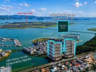 Bán căn 1pn 33m prima bay hạ long chỉ 1,6 tỷ sở hữu lâu dài tiềm năng tăng giá phong thủy vượng