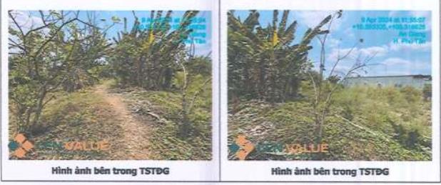 Bán 1107m2 tại xã tân hòa, huyện phú tân, tỉnh an giang