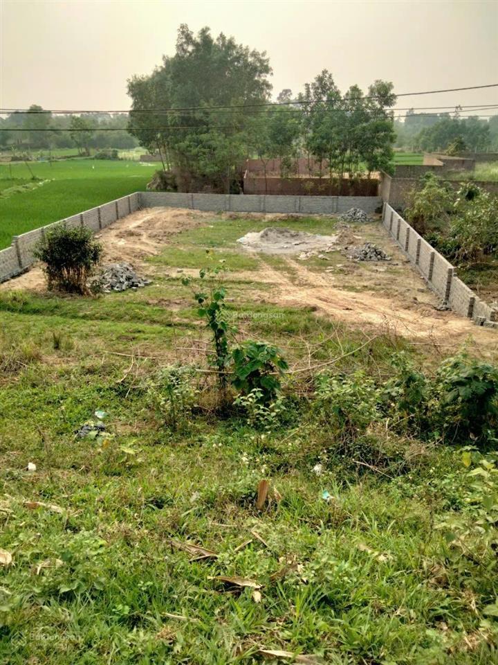 5,2 tỷ có 1000m2 đất trục chính tiên phong  phổ yên  thái nguyên