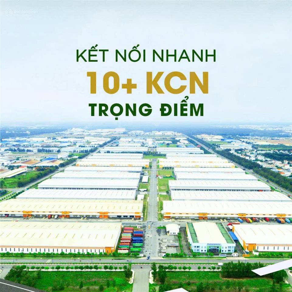 Mua happy one mori hôm nay lợi nhuận ngày mai