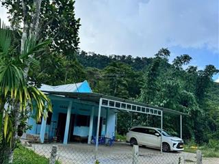 Bds 8.000m² đất suối giữa thiên nhiên