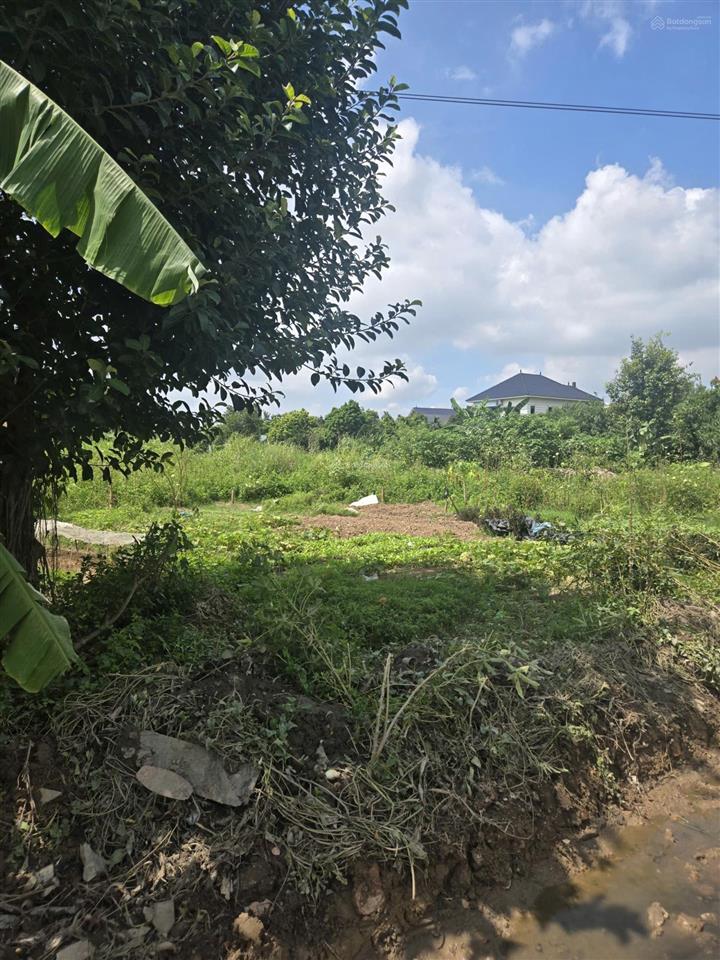 Bán đất tại đại từ, văn lâm, 48,6 tỷ, 900m2, hàng hiếm giá tốt