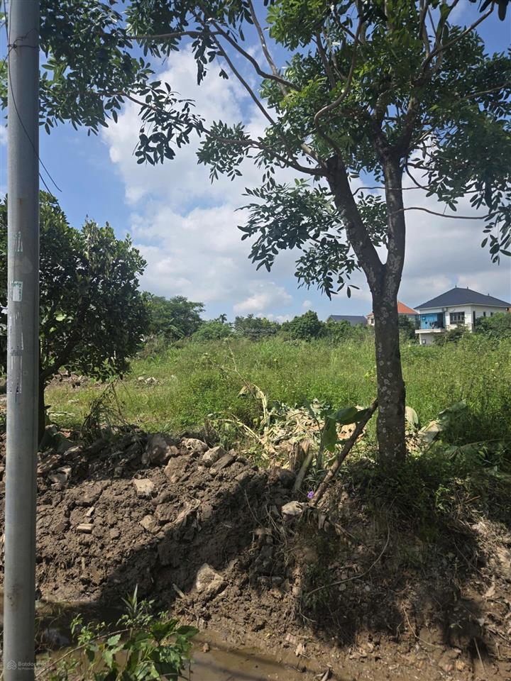 Bán đất tại đại từ, văn lâm, 48,6 tỷ, 900m2, hàng hiếm giá tốt