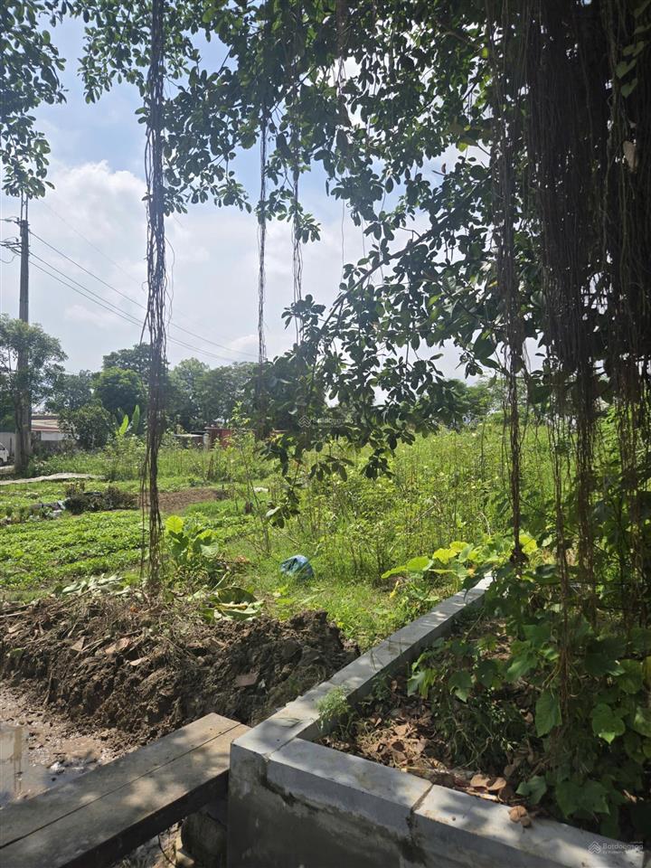 Bán đất tại đại từ, văn lâm, 48,6 tỷ, 900m2, hàng hiếm giá tốt