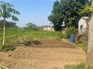 Nổi bật khu vực chỉ 1 lô hiếm có! cần tiền bán gấp lô đất đẹp tại xóm đất đỏ xã liên sơn phú thọ
