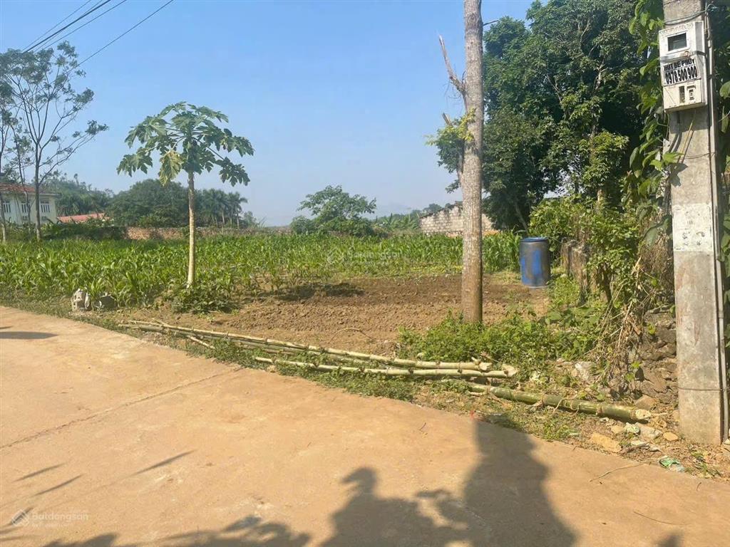 Nổi bật khu vực chỉ 1 lô hiếm có! cần tiền bán gấp lô đất đẹp tại xóm đất đỏ xã liên sơn phú thọ