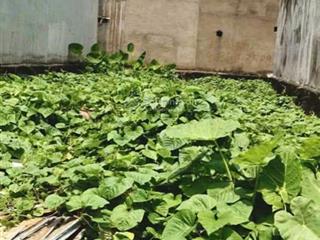 Chủ cần bán gấp lô đất giá đầu tư 138m2 giá chỉ 4 tỷ 5.