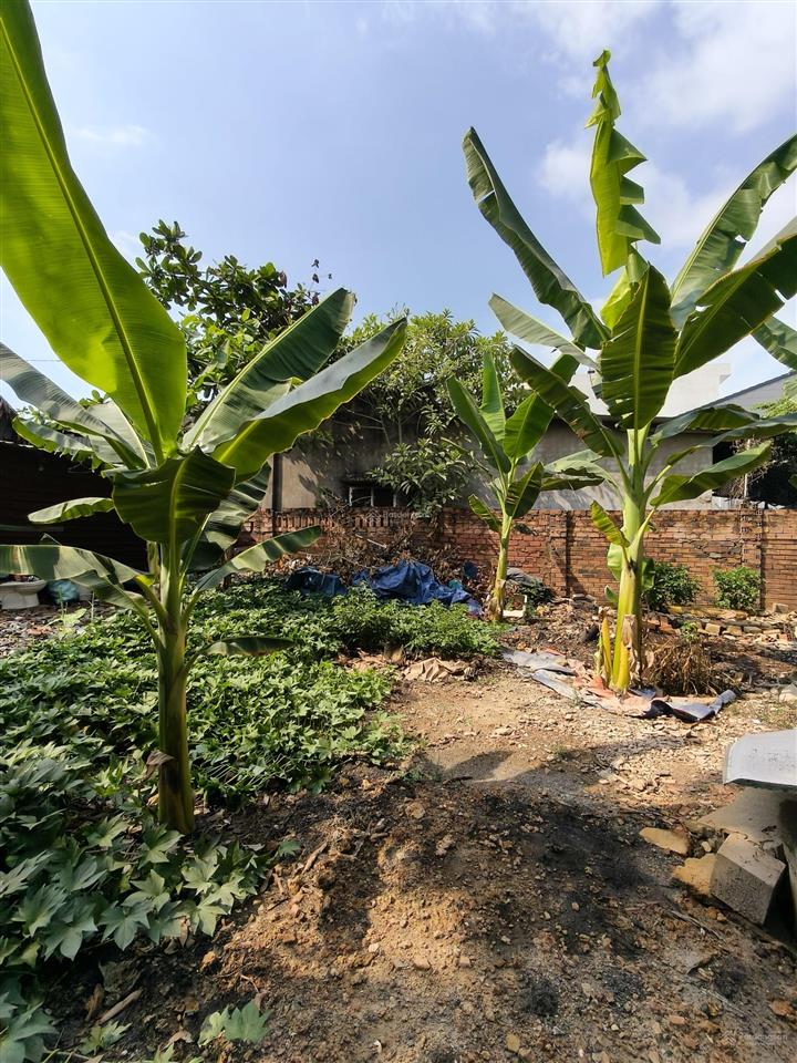 Bán đất mặt tiền đường nguyễn xiển p.long bình 300m2 giá 14 tỷ.