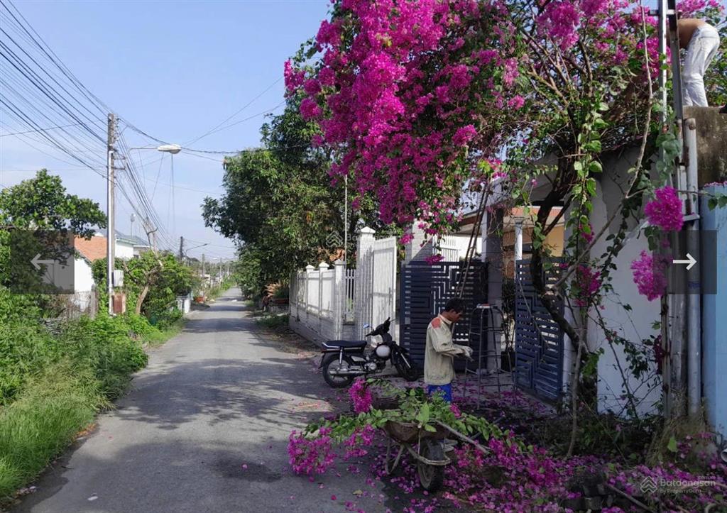 Đất tphcm đối diện trường học chuyên cạnh cây xăng tân hiệp giá 790tr ngang 10m tổng 420m2