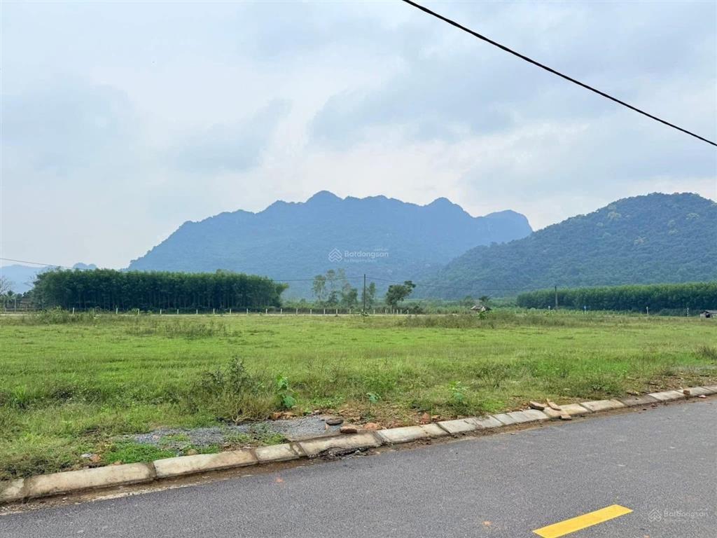 Bán lô đất đấu ở phong nha, tỉnh quảng bình cũ cách động phong nha 700m, cách trung tâm du lịch