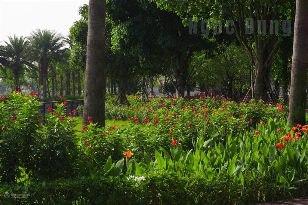 Cắt lỗ sâu, chuyển nhượng gấp nhà phố aqua city nhận nhà ngay 4,2 tỷ cập nhật giá rổ hàng 1/2026