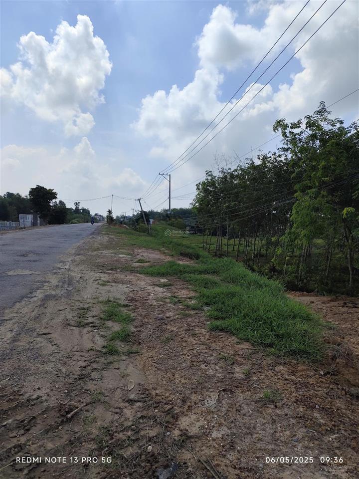 Bán đất diện tích 2279m2, có 200m2 thổ cư, giá siêu hời 6.5 tỷ tại đường 789, trảng bàng, tây ninh
