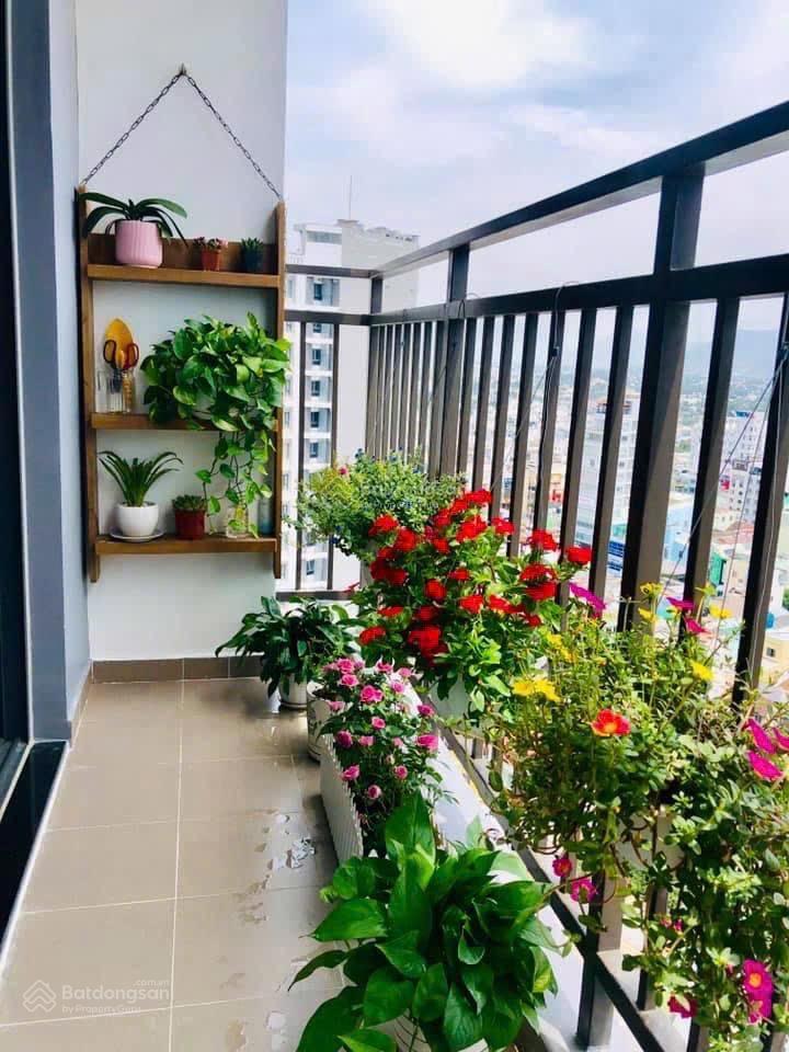 Bán căn hộ dqua full nội thất ngay trung tâm nha trang 73m2 giá 4 tỷ 150, sổ hồng