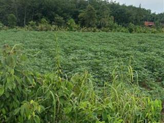 Cơ hội sở hữu đất nền lộc hưng, đồng nai, giá tốt tiềm năng tăng giá cao