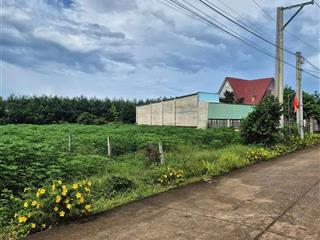 Lô đường nhựa siêu đẹp cách mt dh507 50m