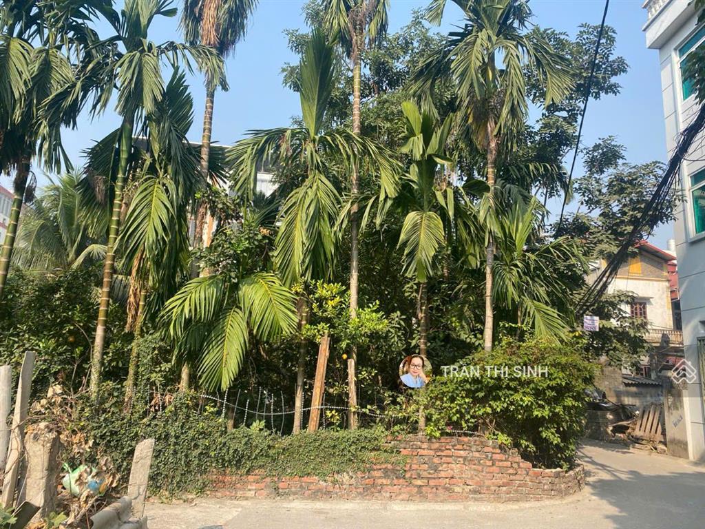 Đầu tư. 135m2 lô góc hoàng như tiếp, bồ đề ô tô tránh, chia lô thoải mái chỉ 28 tỷ