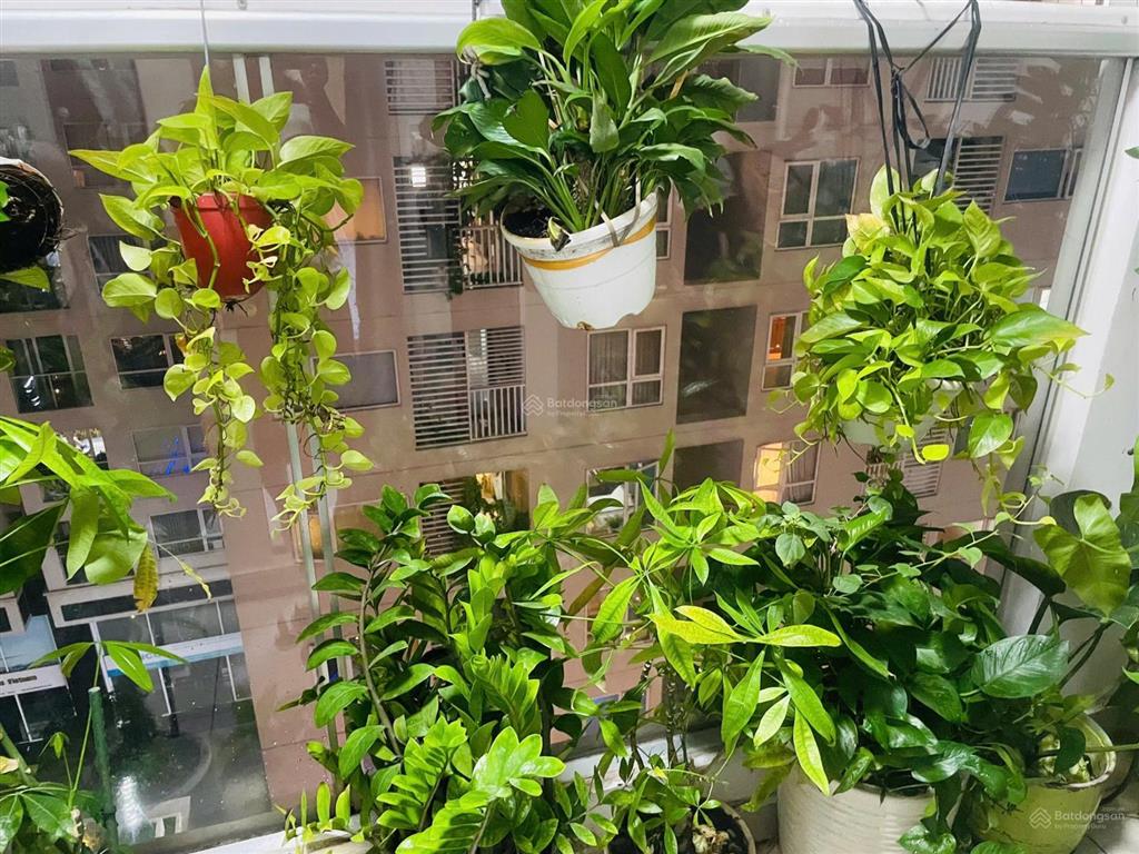 Căn hộ chung cư cho thuê tại sky center, 9 triệu, 36 m2 bao đẹp chỉ với