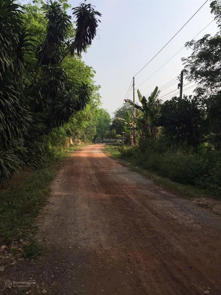 Bán đất đẹp tại tân định 01, 1,55 tỷ, 1170 m2, pháp lý đầy đủ