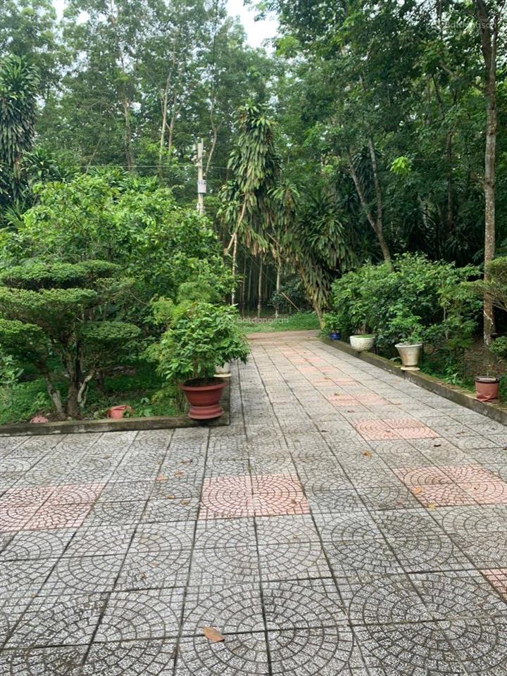 Bán đất đẹp tại tân định 01, 1,55 tỷ, 1170 m2, pháp lý đầy đủ