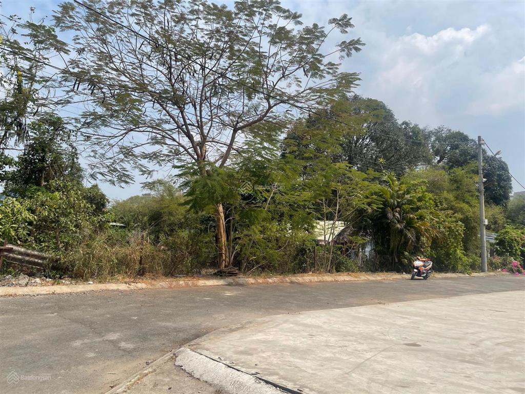 Bán lô đất quy hoạch giáo dục 5600m2 giá chưa tới 30tr/m2 ngay đường 9, linh trung, tp thủ đức