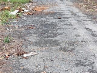Bán đất giá rẻ đường 3/2 cặp bên công an huyện huyện châu thành cũ